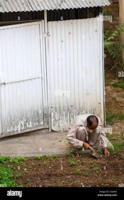  My Garden: A Symphony in Green and Earth - Ein Pakistanskischer Blick auf die Kunst des Gärtnerns