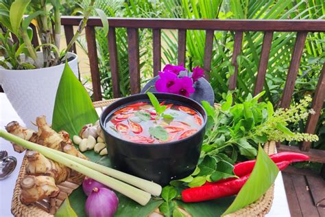  Your Edible Garden: A Journey Into Southeast Asian Culinary Delights - Eine Ode an die tropische Vielfalt